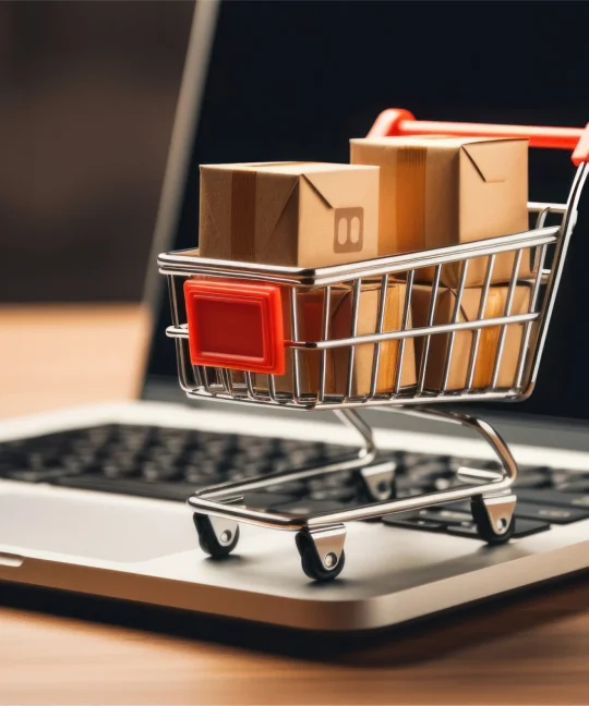 Best Website Development Company as Banjara Hills: Web Design & E-Commerce Services