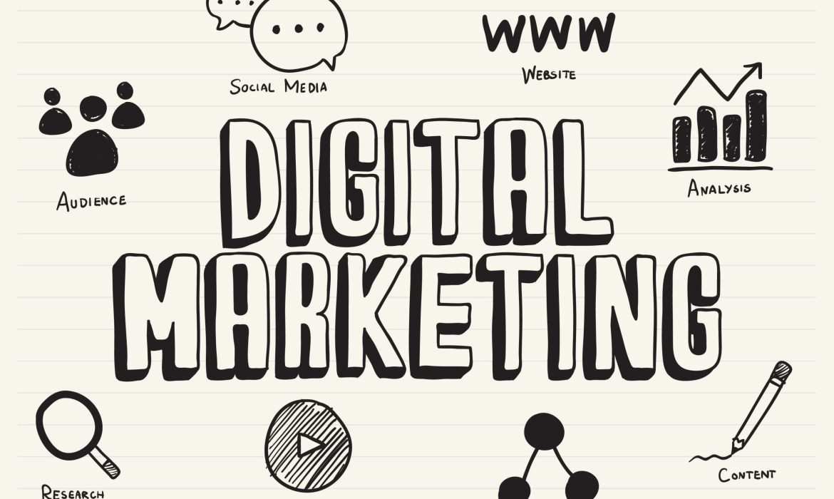 Best Digital Marketing Company in Palolem Goa | Social Media & SEO – HighLadder